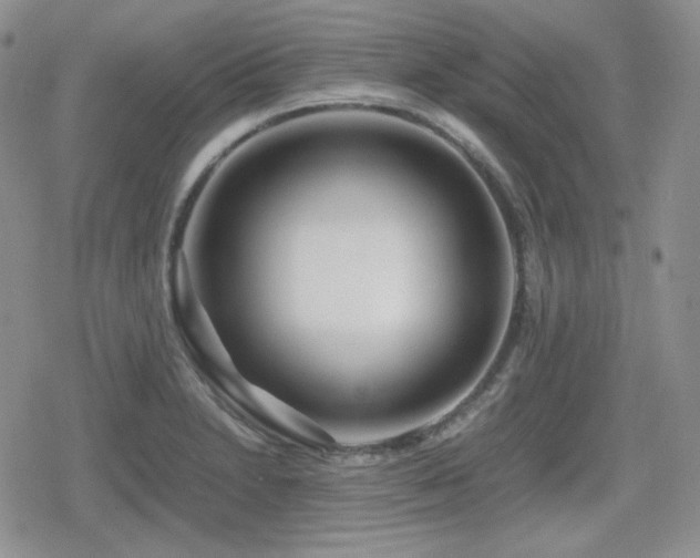X0000080111230200612081219