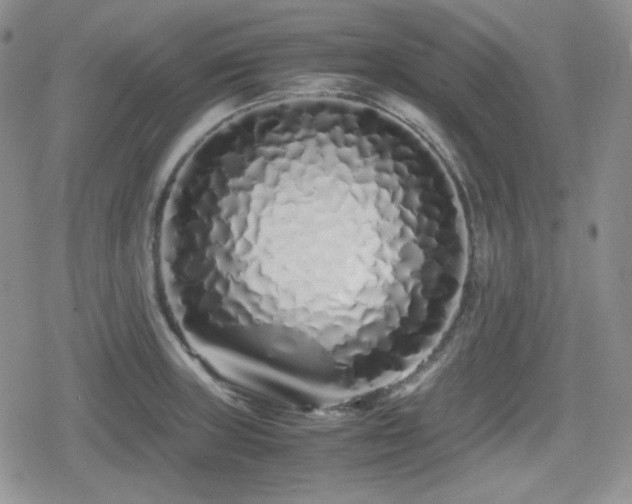 X0000080111235200612081219