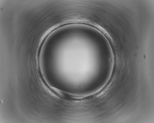 X0000080111238200612081219