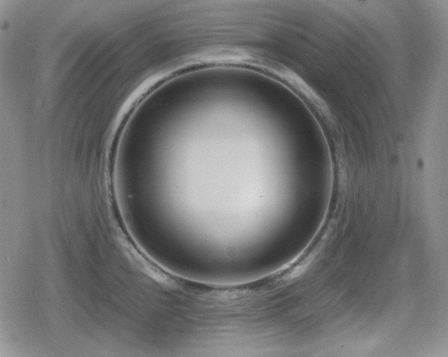 X0000080111240200612081219