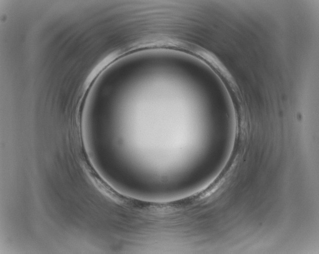 X0000080111242200612081219