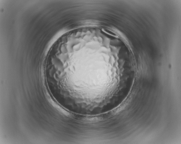 X0000080111243200612081219