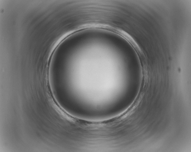 X0000080111244200612081219
