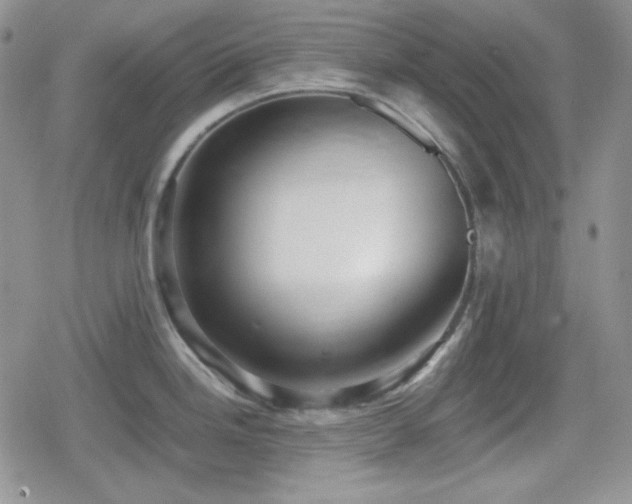 X0000080111246200612081219