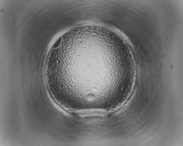 X0000080111247200612081219