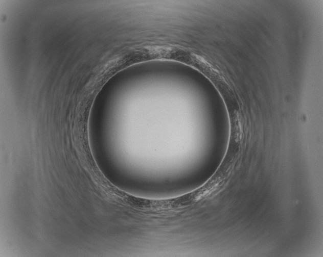 X0000080111249200612081218