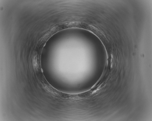 X0000080111250200612081218