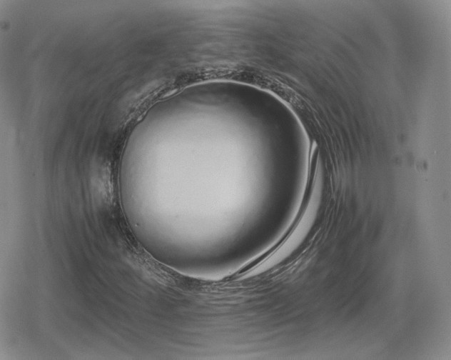X0000080111252200612081218