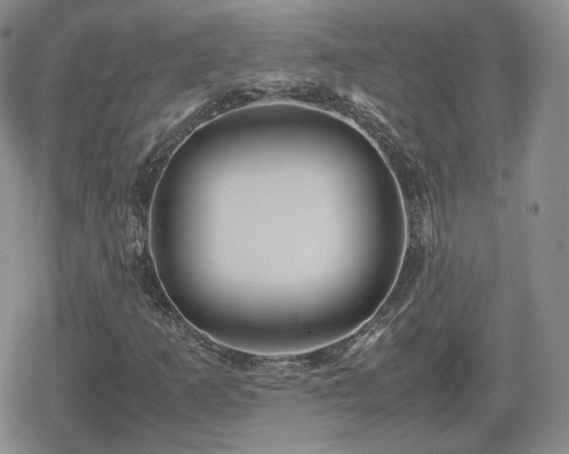 X0000080111253200612081218