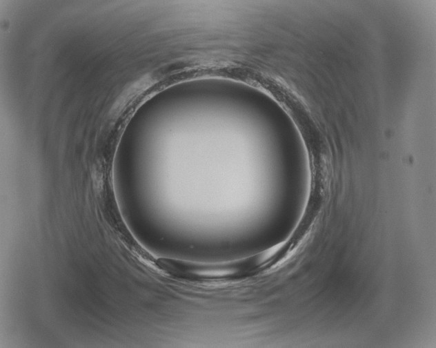 X0000080111257200612081218