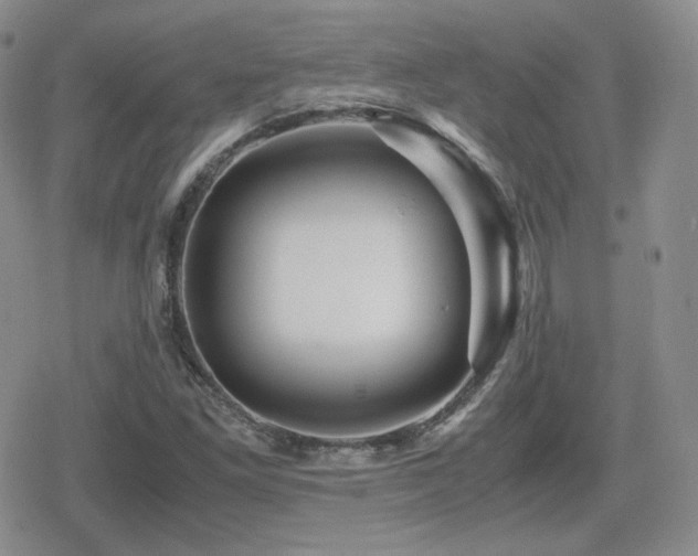 X0000080111261200612081218