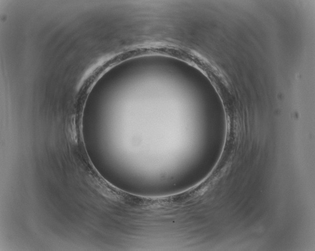 X0000080111262200612081218