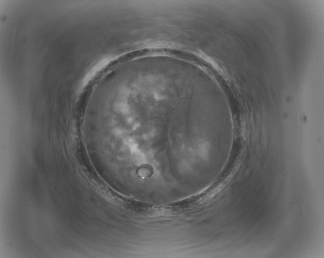 X0000080111263200612081218