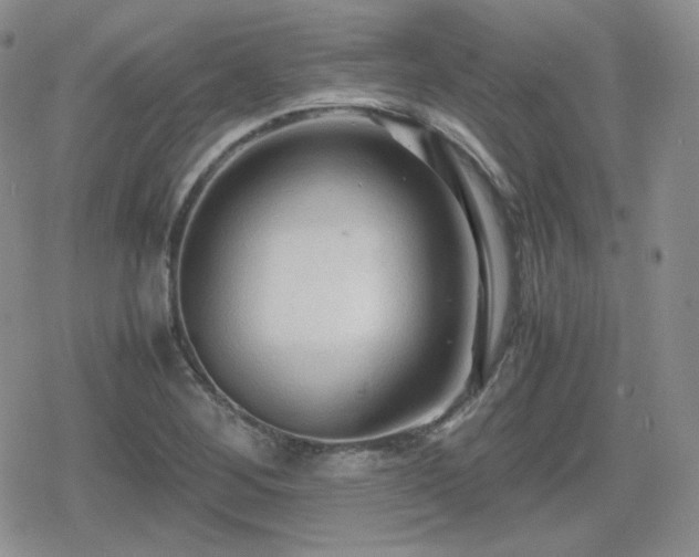 X0000080111268200612081218