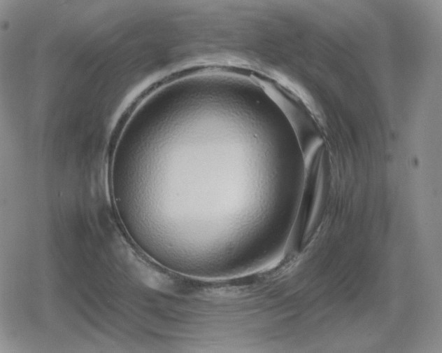 X0000080111272200612081218