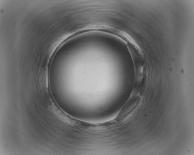 X0000080111276200612081218
