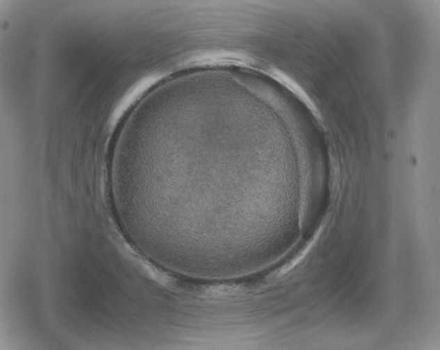 X0000080111277200612081218