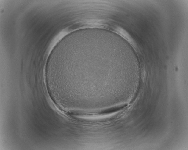 X0000080111283200612081218