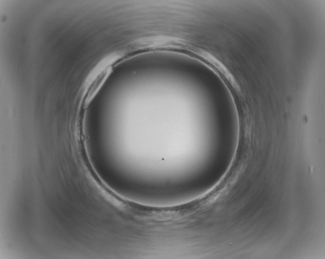 X0000080111285200612081218