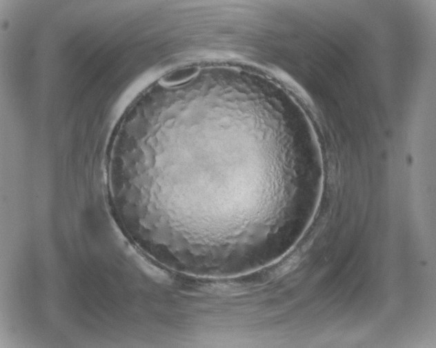X0000080111287200612081218
