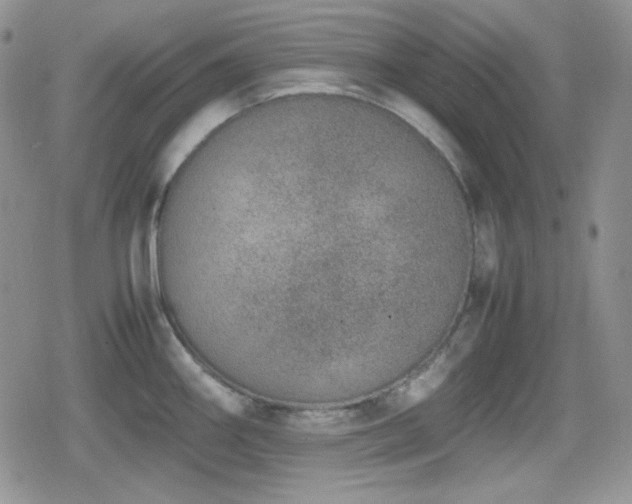 X0000080111290200612081218