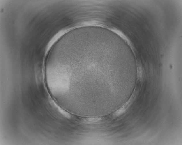 X0000080111294200612081217
