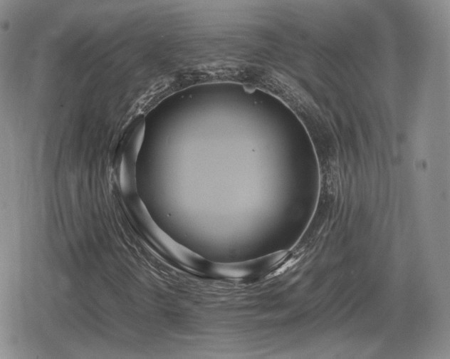 X0000080111298200612081217