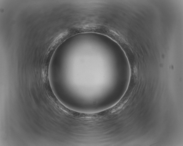 X0000080111300200612081217