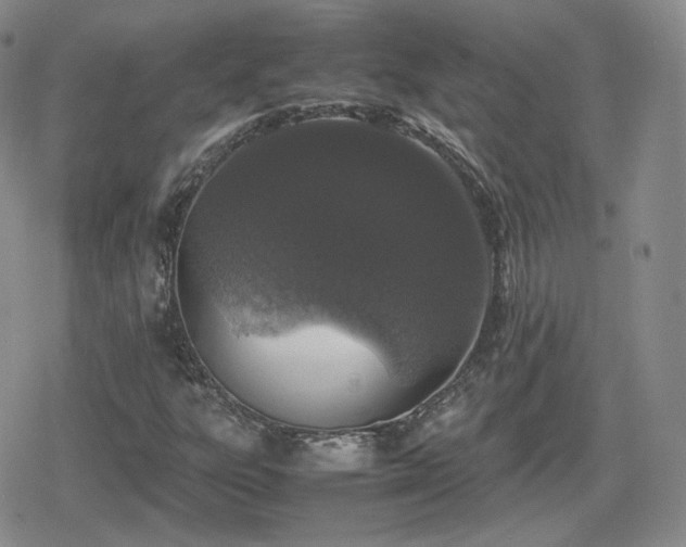X0000080111303200612081217