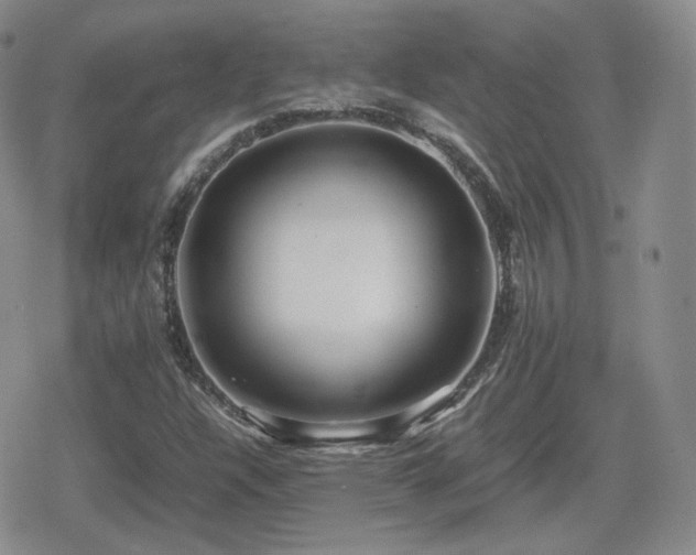 X0000080111304200612081217