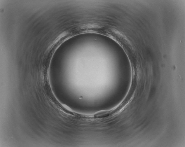 X0000080111305200612081217