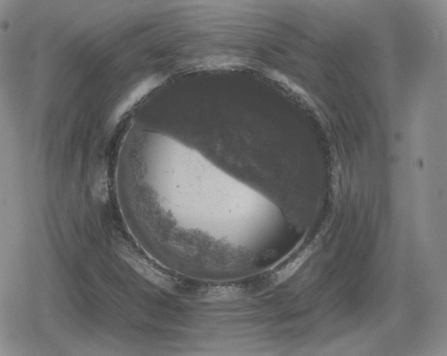 X0000080111306200612081217