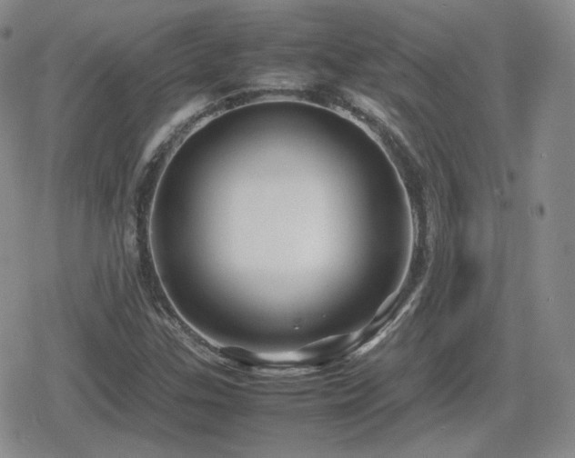 X0000080111307200612081217