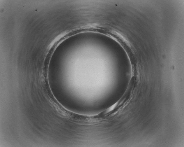 X0000080111308200612081217