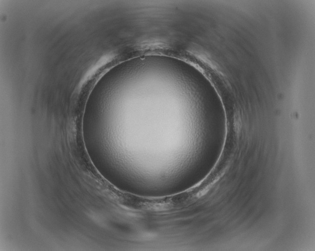 X0000080111309200612081217