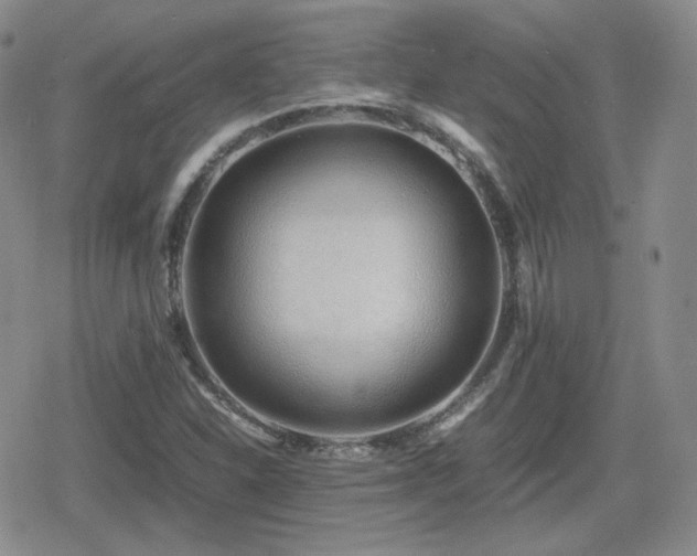 X0000080111310200612081217