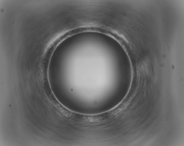 X0000080111311200612081217