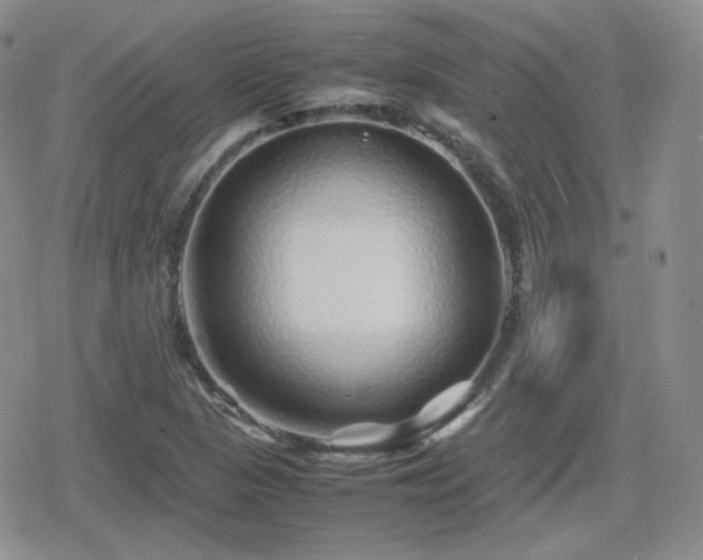 X0000080111313200612081217