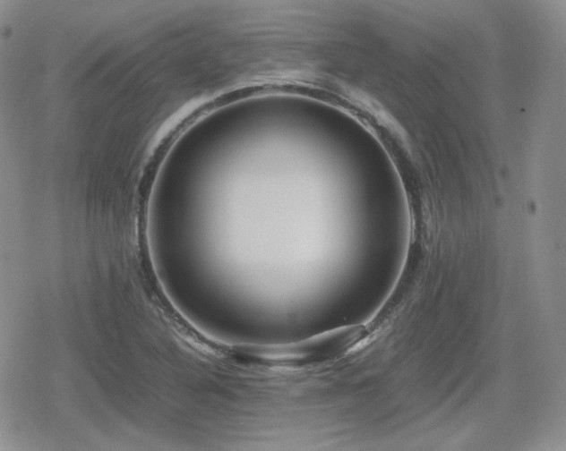 X0000080111316200612081217