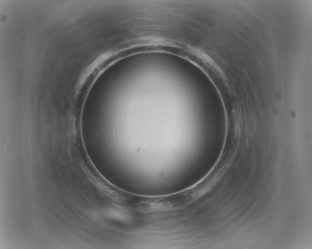 X0000080111318200612081217