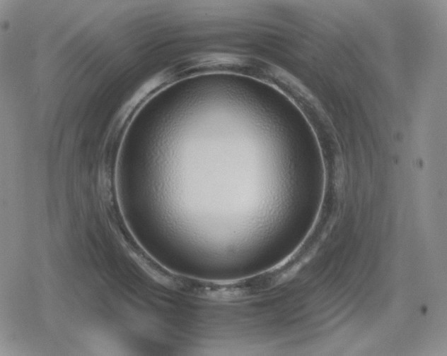 X0000080111321200612081217