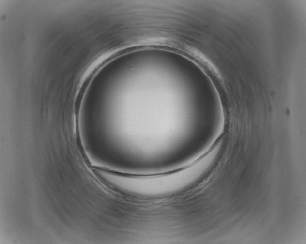 X0000080111324200612081217