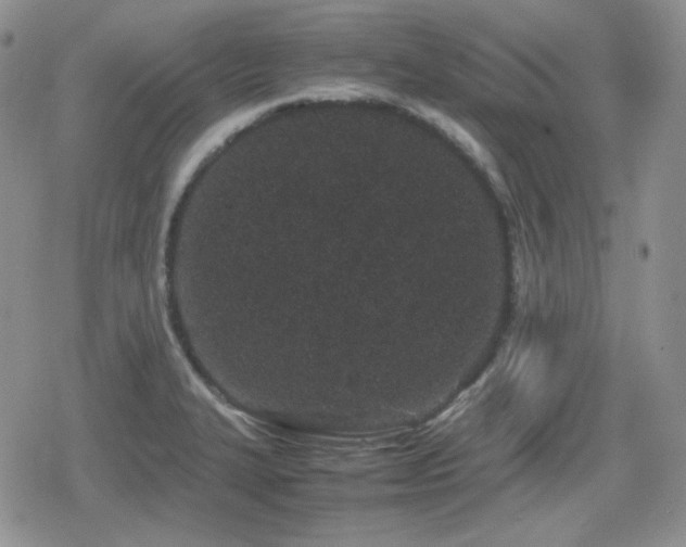 X0000080111327200612081217