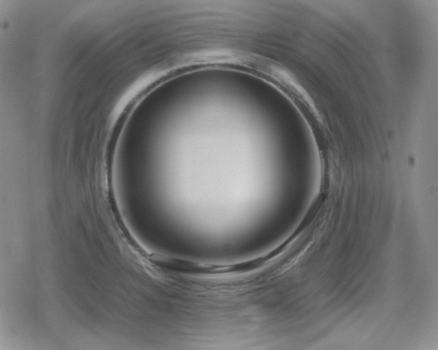 X0000080111328200612081217