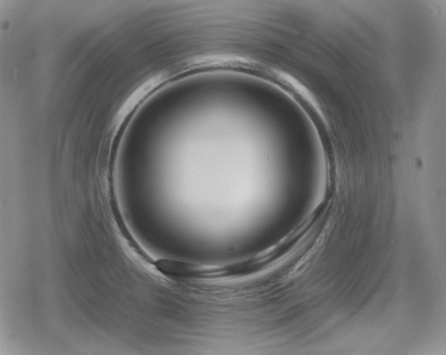 X0000080111330200612081217