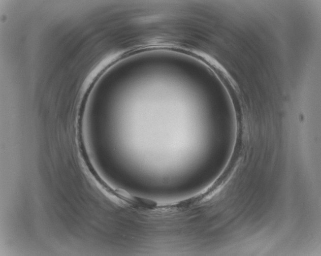 X0000080111333200612081217