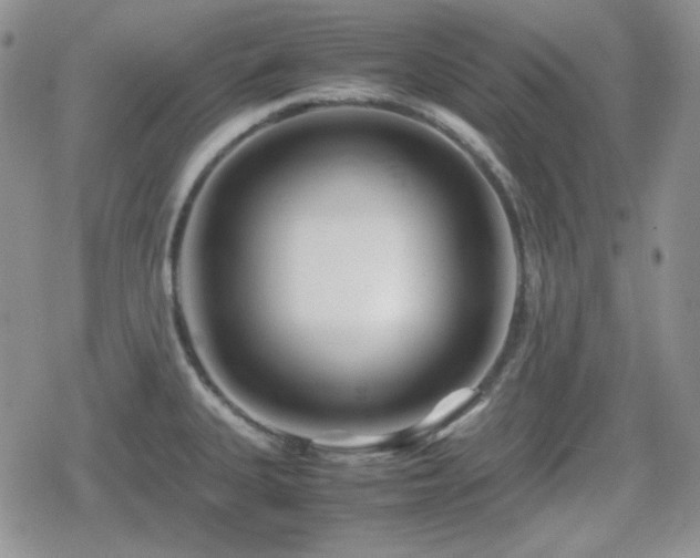 X0000080111335200612081217