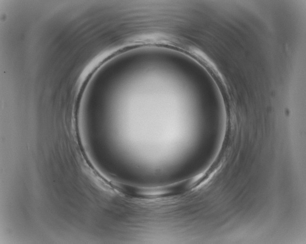 X0000080111336200612081217