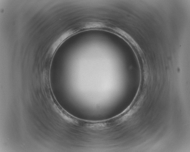 X0000080111337200612081217