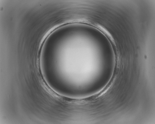 X0000080111340200612081217